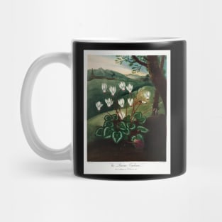 The Persian Cyclamen Mug